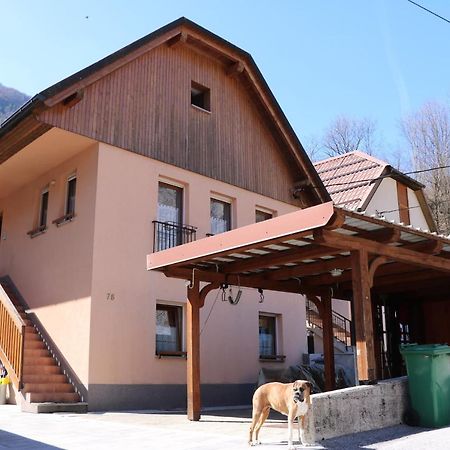 Apartma Na Vasi Apartamento Zaga Exterior foto