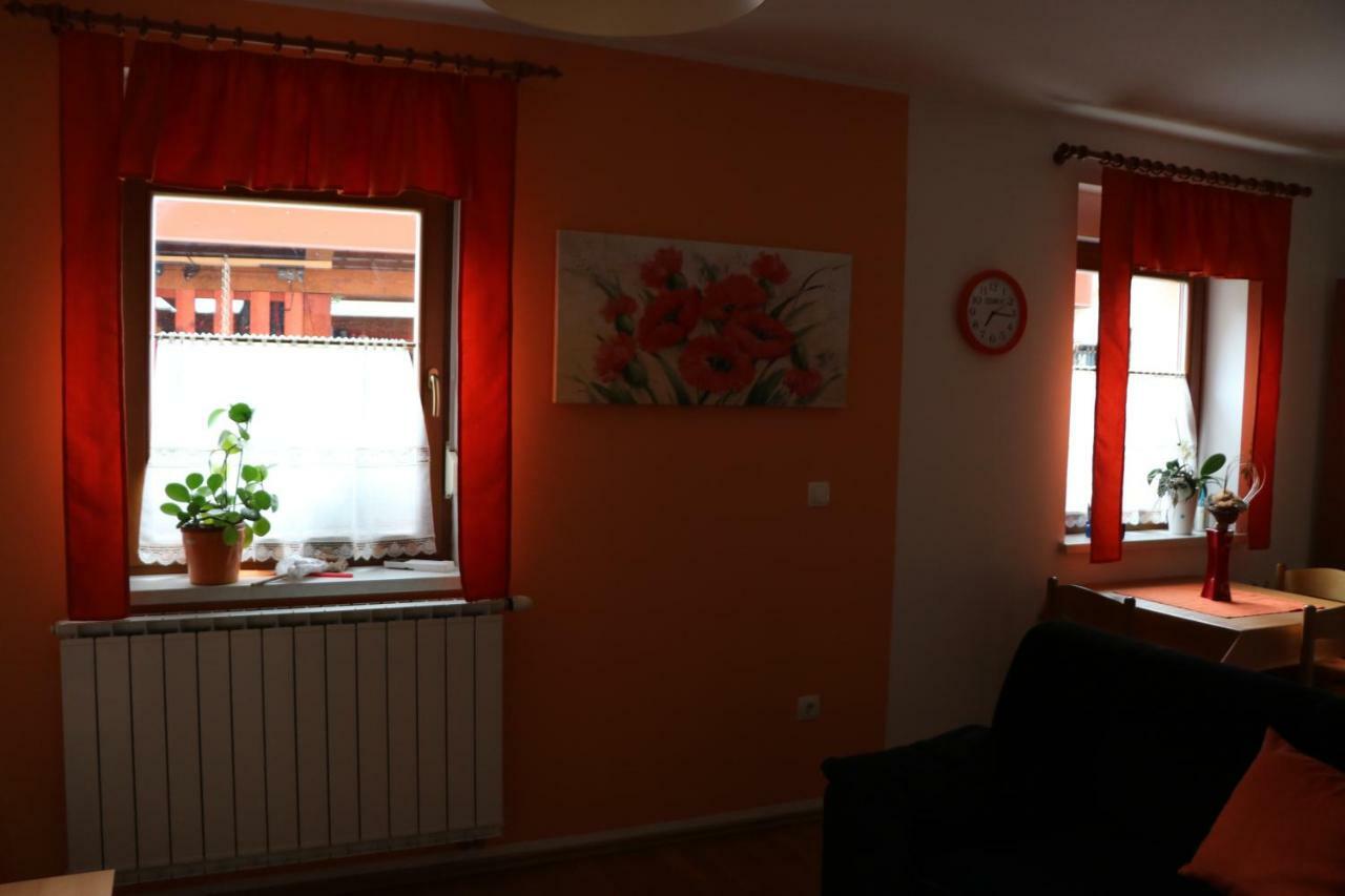 Apartma Na Vasi Apartamento Zaga Exterior foto