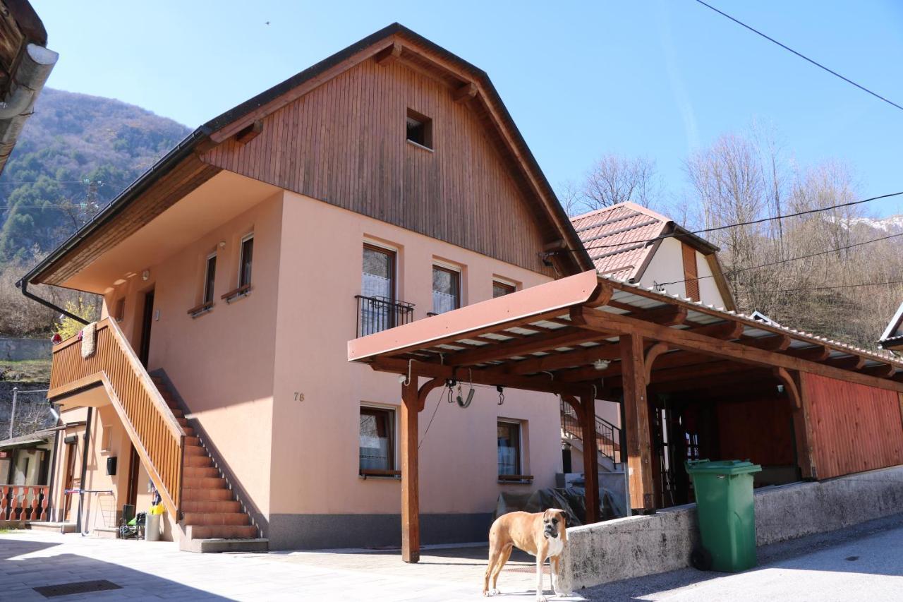 Apartma Na Vasi Apartamento Zaga Exterior foto